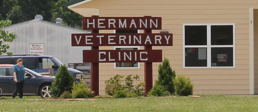 Hermann Missouri - Hermann Veterinary Clinic