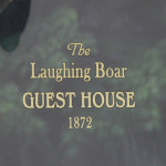 Hermann Missouri Lodging - Laughing Boar Cover